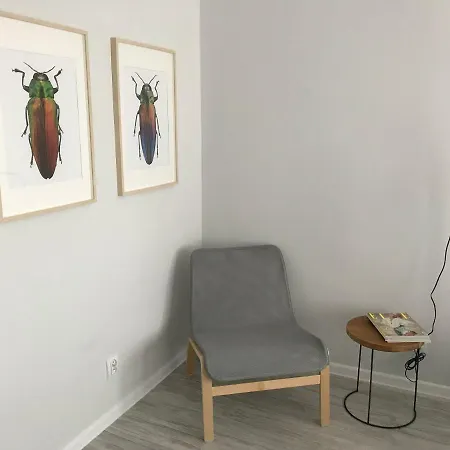 Kilinskiego 9 Appartement *