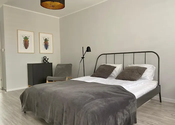 Kilinskiego 9 * Świdnica