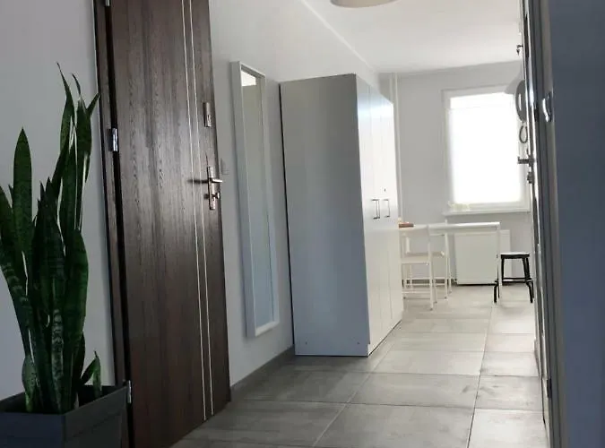 Apartman Kilinskiego 9 *